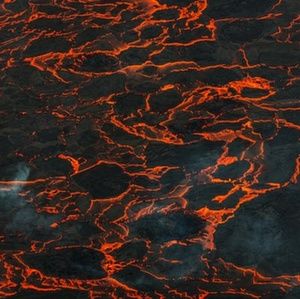 Meet your Posher, Evan